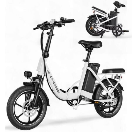 WINDHORSE W2B Folding Electric Bike with 350W High Speed Motor, 36V 8AH Battery, 40 KM/H Speed, 35 KM Range