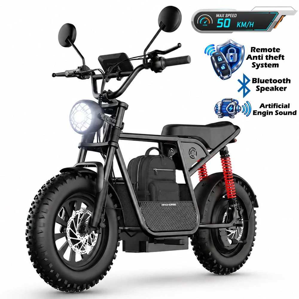 WINDHORSE D1 Electric Bike