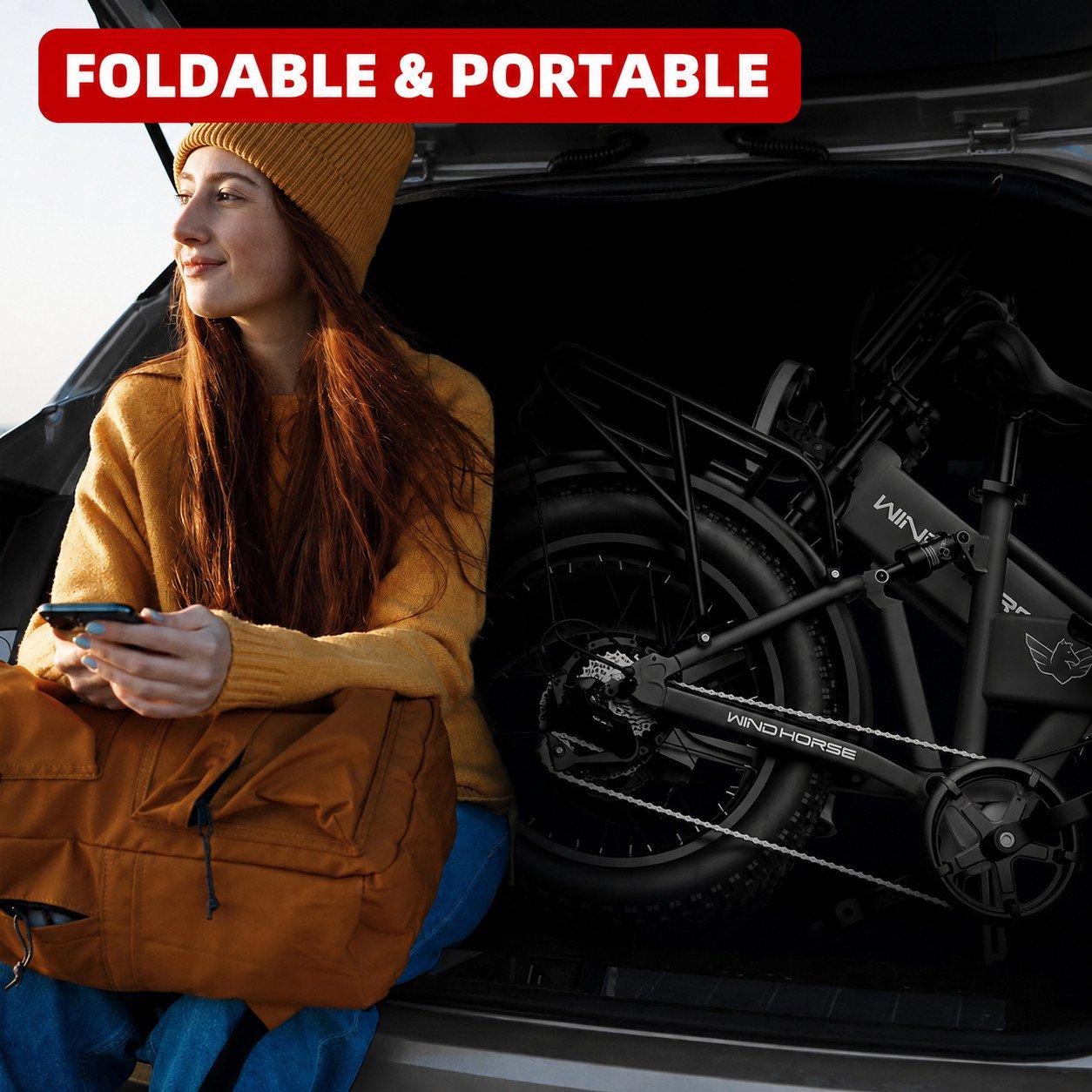 WINDHORSE W0 Pro Electric Folding Bike 5 WINDHORSE W0 Pro Electric Folding Bike - Image 5